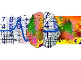 brain, cerebrum, biology