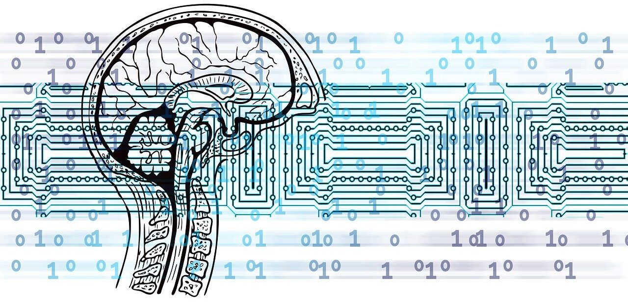 circuit board, brain, digital